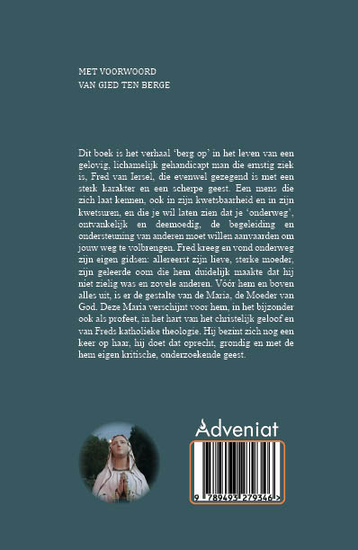 Een leven lang Lourdes Ervaringen en reflecties met mijn dood voor ogen
