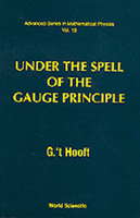 Under The Spell Of The Gauge Principle 