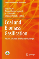 Coal and Biomass Gasification Recent Advances and Future Cha